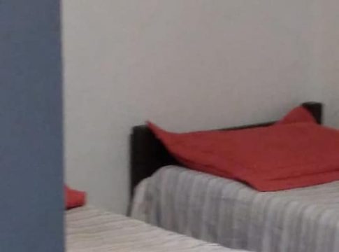 Cobra foi encontrada em cima da cama de morador de Búzios na madrugada desta segunda-feira (29) | Foto: Guarda Municipal Ambiental de Búzios/Divulgação