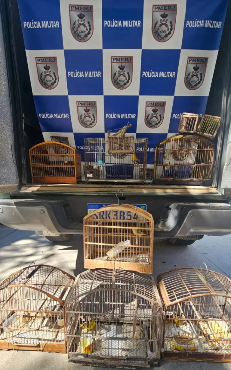 Sete aves silvestres são resgatadas de cativeiro em Cabo Frio após denúncia anônima
