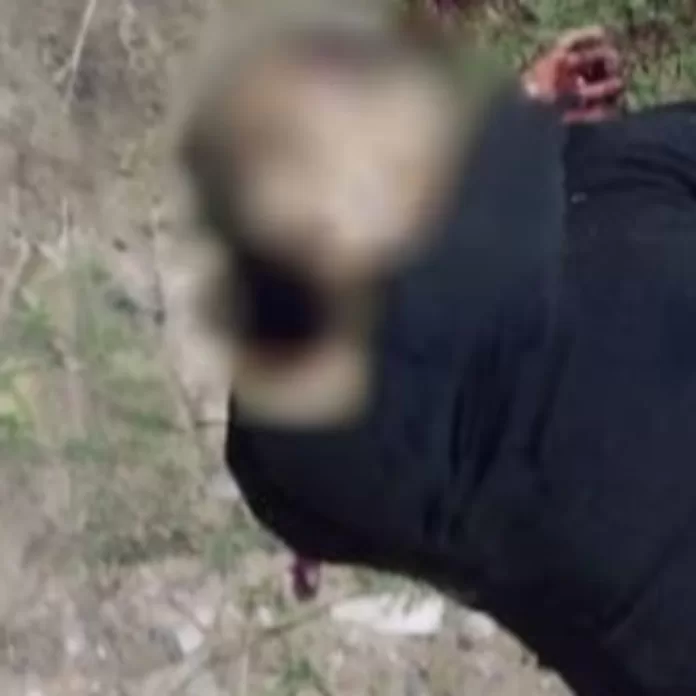 imagem do whatsapp de 2025 09 30 à(s) 08.26.43 b8300ef7