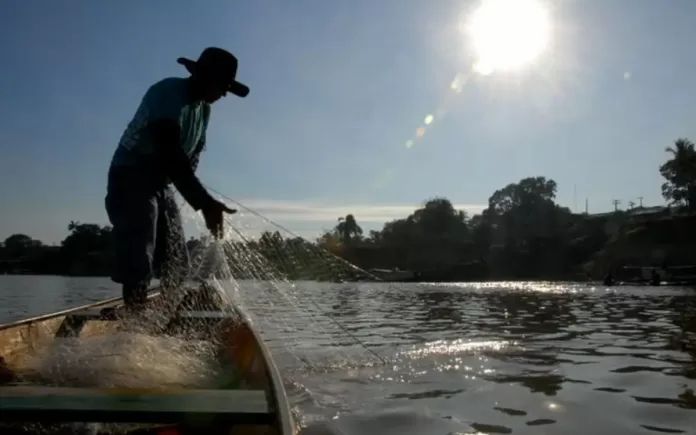 1 capturar 36126562 696x435