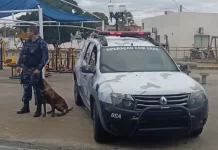 Segurança para a Expo Araruama terá integração entre as polícias e ajuda de cães farejadores arar