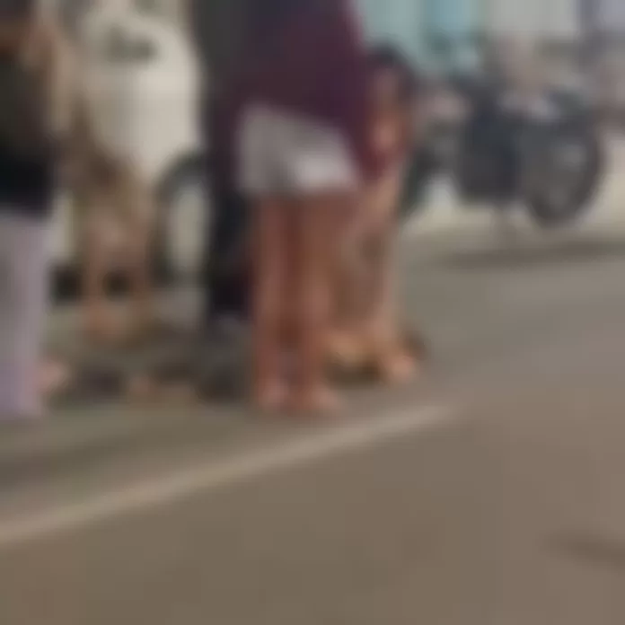 atropelo atropelo