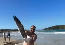 Vídeo de turista segurando gaivota gera denúncia em Cabo Frio captura de tela 2025 10 26 105256