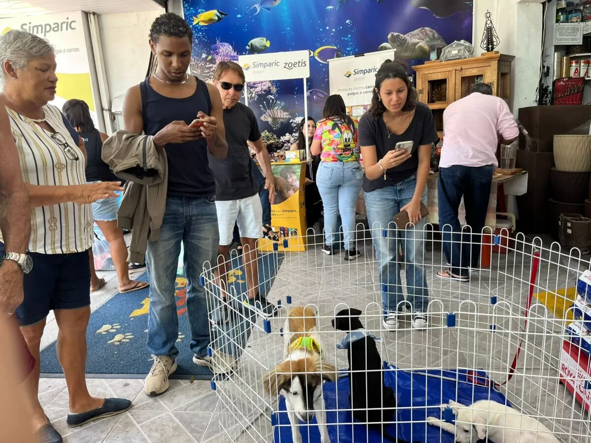 feira de adocao de animais acontece neste sabado 19 no centro de cabo frio