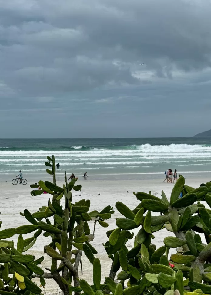 imagem do whatsapp de 2025 10 10 à(s) 10.03.57 4352d785