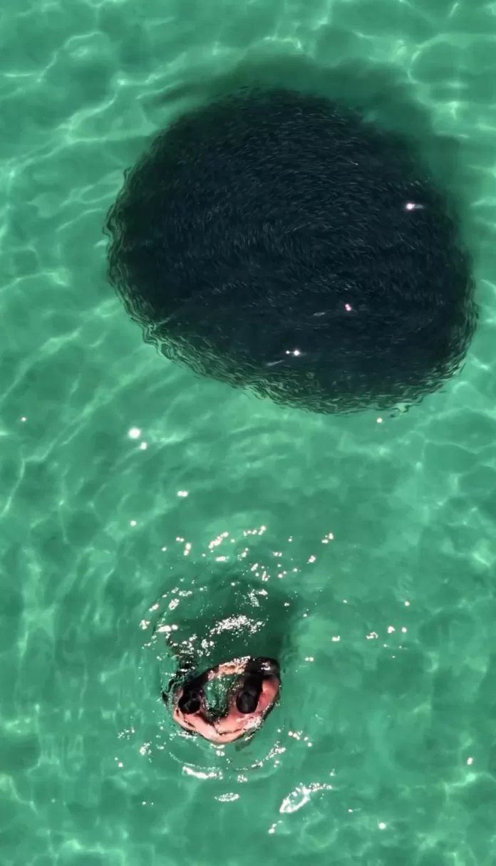 imagem do whatsapp de 2025 10 28 à(s) 17.51.25 9e0fcbca imagem do whatsapp de 2025 10 28 à(s) 17.51.25 9e0fcbca