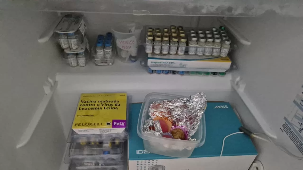 img 20251010 wa0096