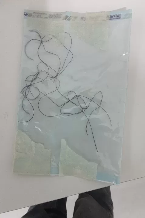 img 20251010 wa0101