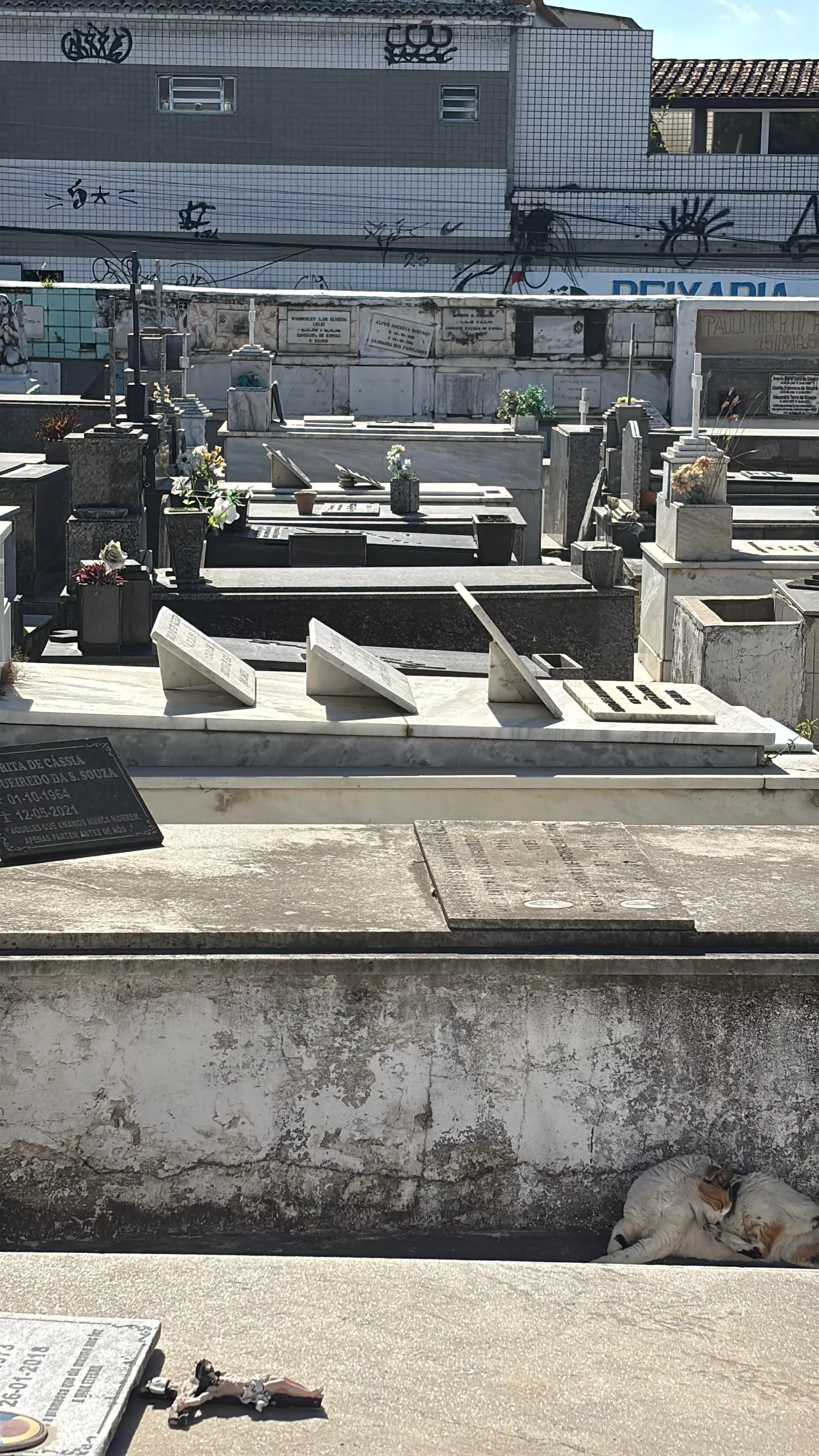 img 20251024 wa0186
