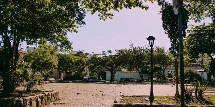 img 20251028 wa0263 img 20251028 wa0263