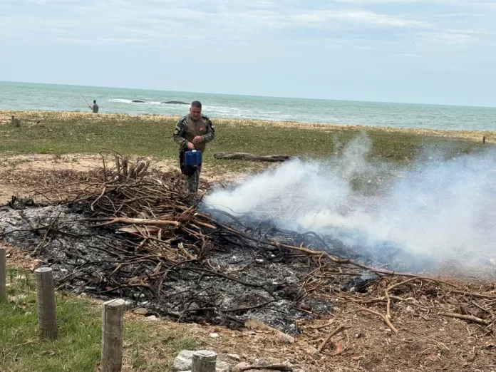 img 20251028 wa0389 img 20251028 wa0389