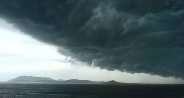 img 20251029 wa0454 img 20251029 wa0454