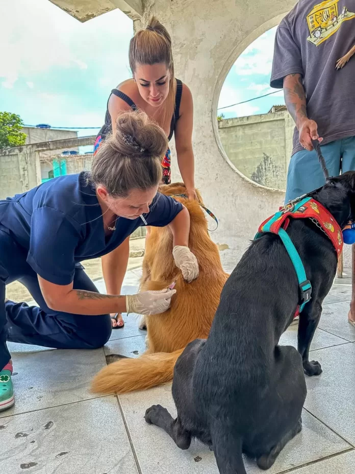 prefeitura de cabo frio inicia campanha de vacinacao antirrabica