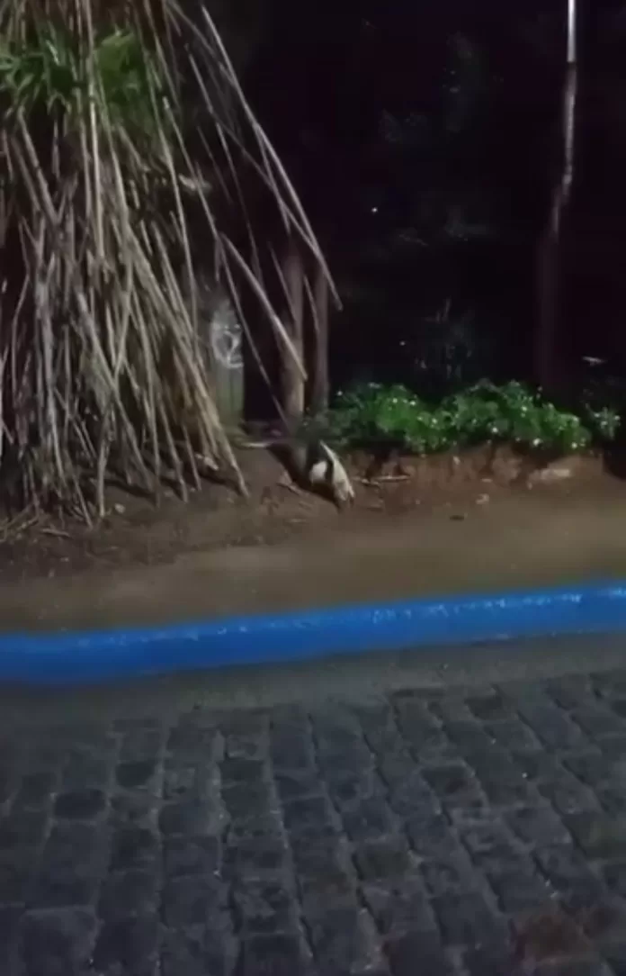 screenshot 20251009 182512