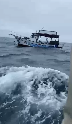 screenshot 430 screenshot 430