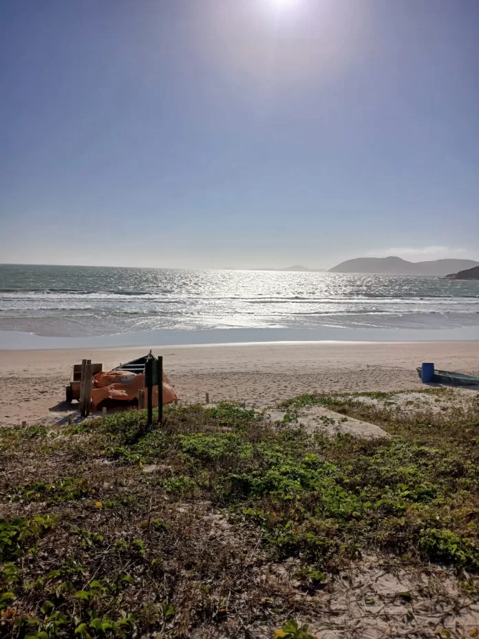 whatsapp image 2025 10 06 at 07.34.47