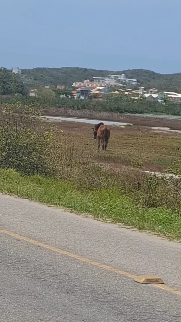 whatsapp image 2025 10 07 at 10.22.27