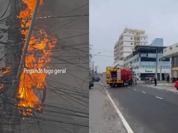 whatsapp image 2025 10 08 at 13.11.53