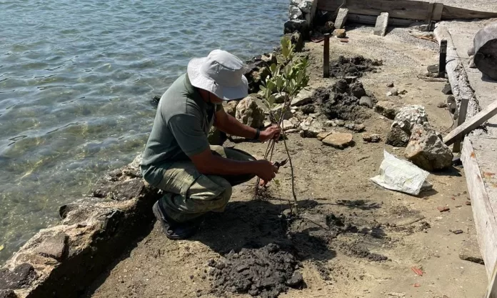 whatsapp image 2025 10 18 at 08.30.38