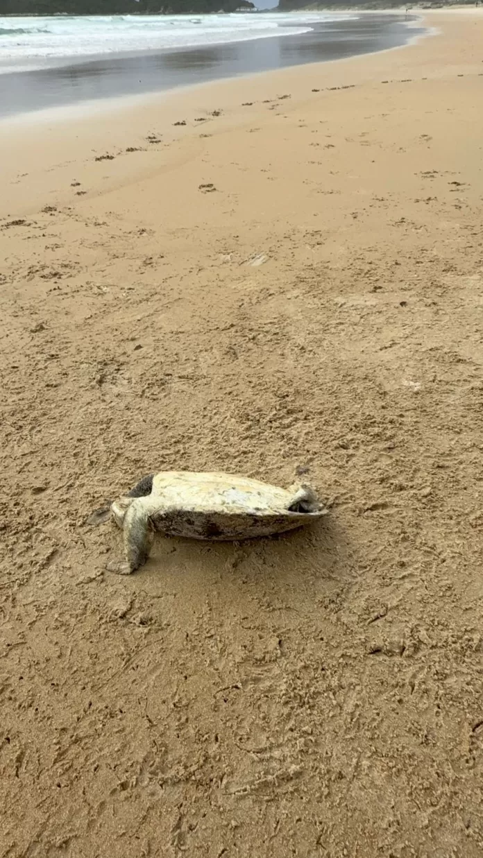 whatsapp image 2025 10 22 at 08.11.42 (1)