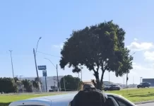 Quadrilha é presa após furtar supermercado em Iguaba Grande e ser interceptada na RJ-106 whatsapp image 2025 10 25 at 09.48.04
