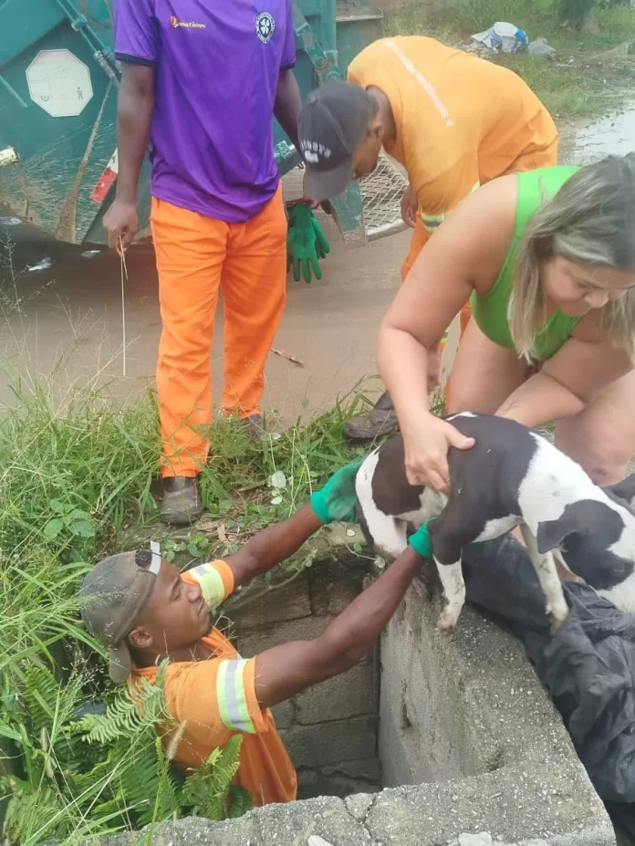 💔 salva pelo amor cachorrinha cai em bueiro e mobiliza moradores e coletores de lixo em ararua (4)