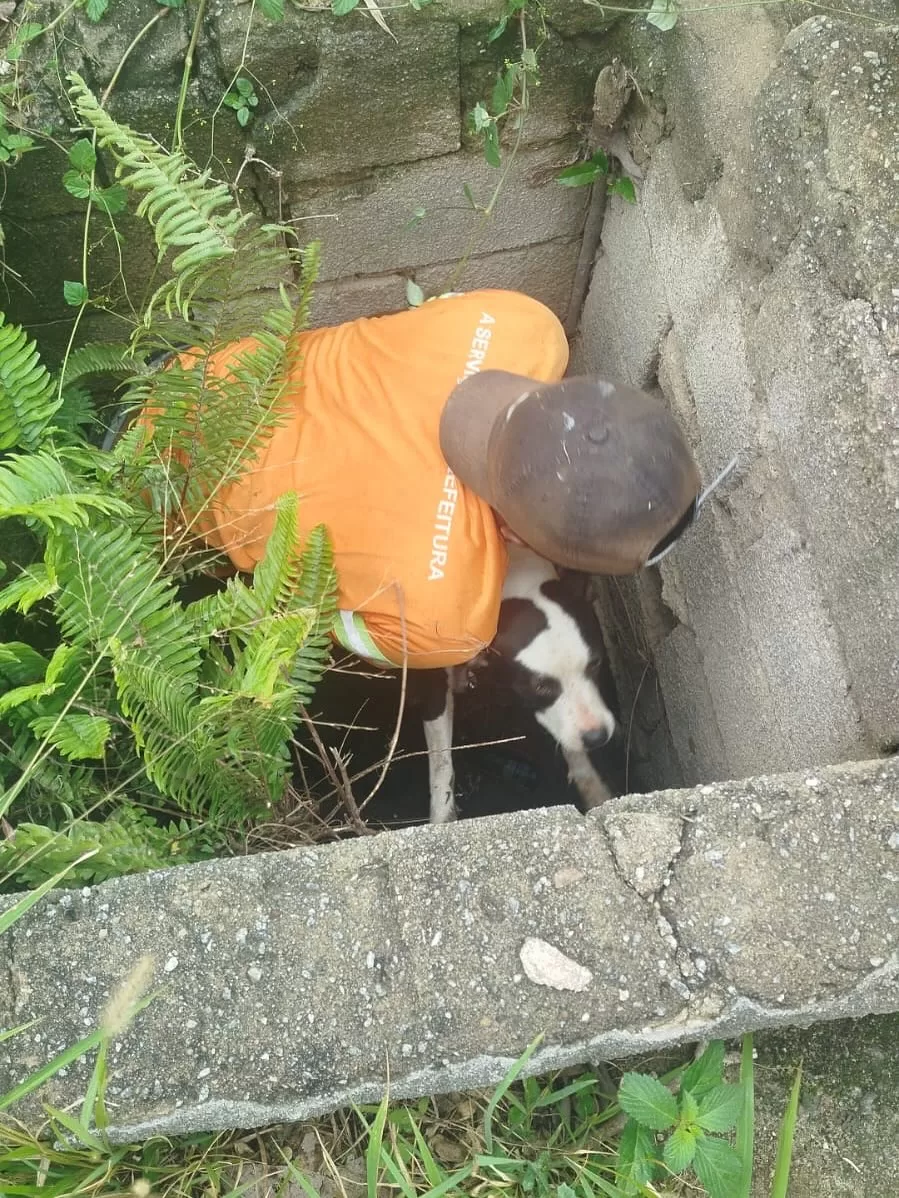 💔 salva pelo amor cachorrinha cai em bueiro e mobiliza moradores e coletores de lixo em ararua (5)