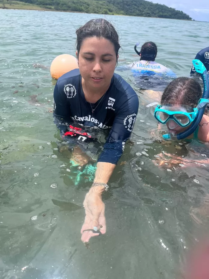 25 11 guardiões iguaba projeto cavalos marinhos (1)