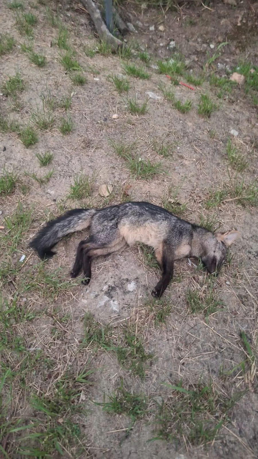 579360852 1263625919115471 2449770059677152346 n