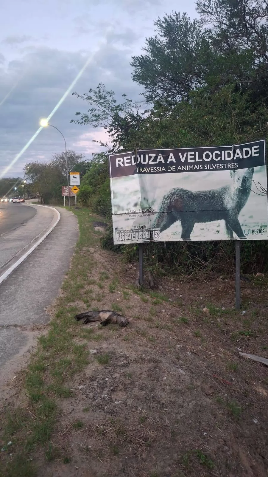 580480268 1263626025782127 6040170927683748109 n