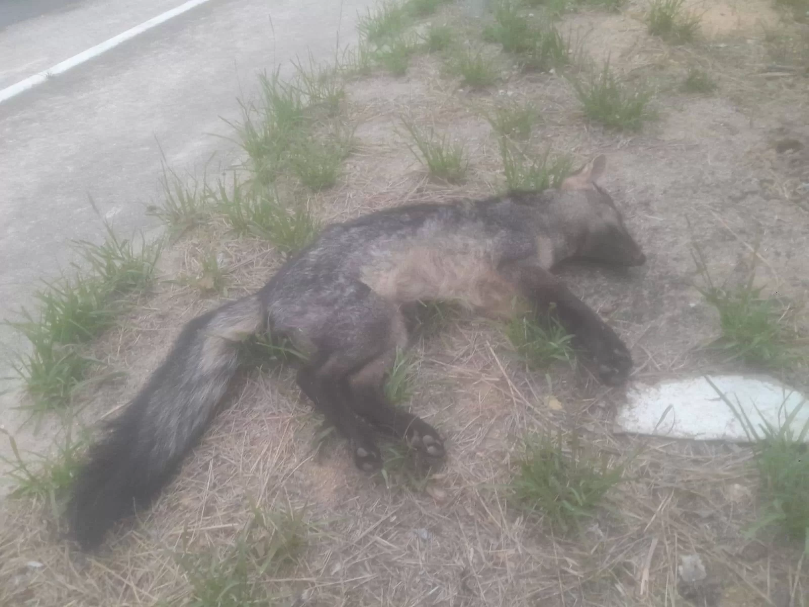 580810331 1263625949115468 3764246837897881106 n