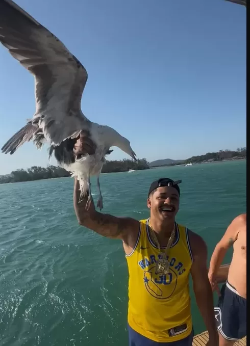 captura de tela 2025 11 13 154101