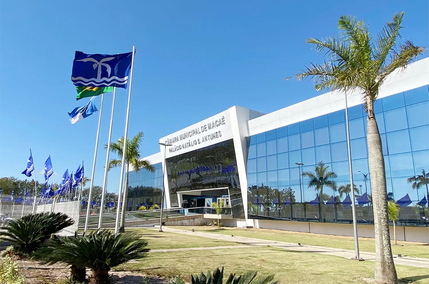 fachada da câmara intranet foto tiago ferreira