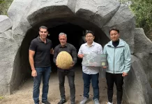 imagem do whatsapp de 2025 11 08 à(s) 13.20.05 fb7838c6