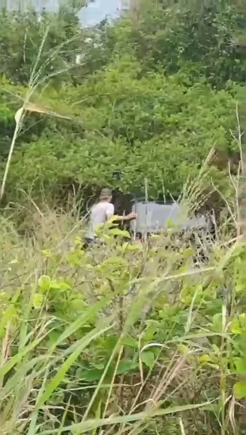 imagem do whatsapp de 2025 11 08 à(s) 15.47.28 154ad1b1