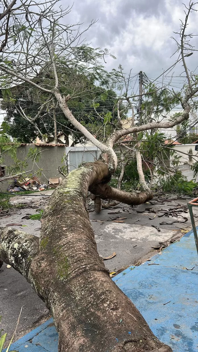 imagem do whatsapp de 2025 11 10 à(s) 11.14.56 346f5351