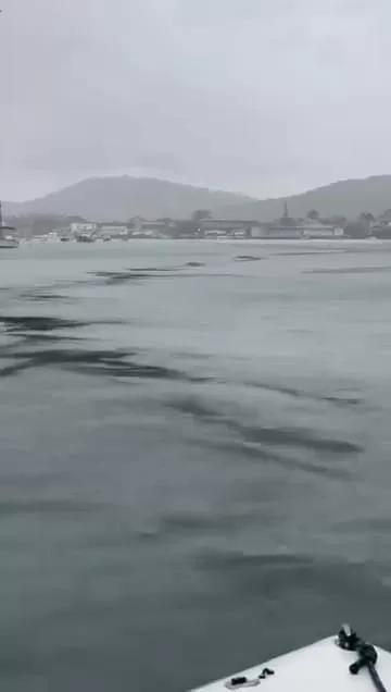 imagem do whatsapp de 2025 11 10 à(s) 13.59.50 e0a2c8d2