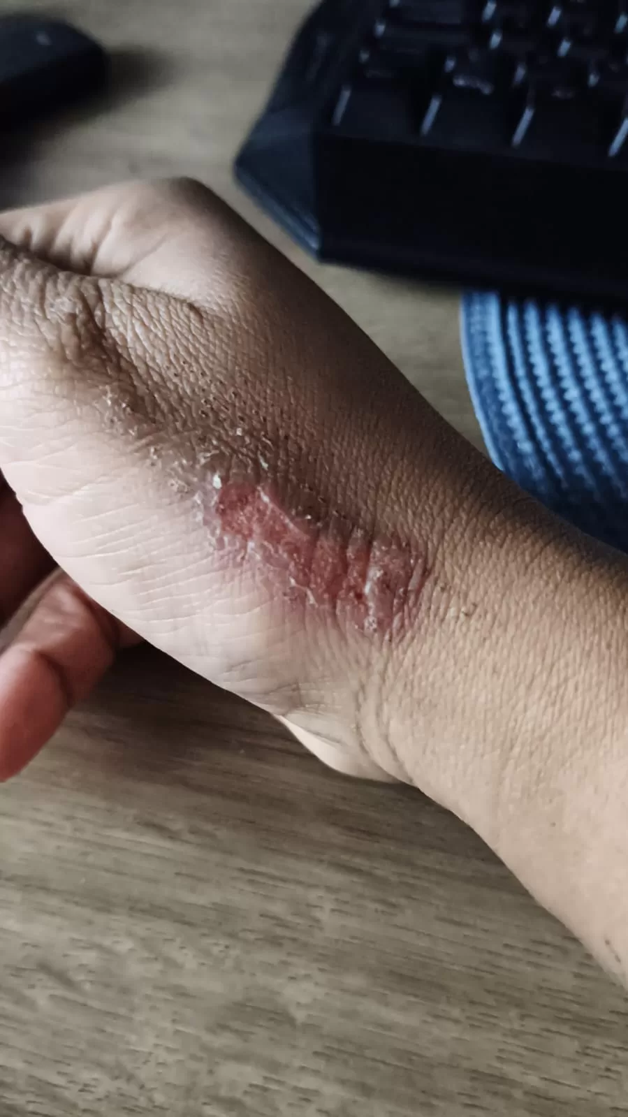 imagem do whatsapp de 2025 11 16 à(s) 17.40.24 cc3f54c7