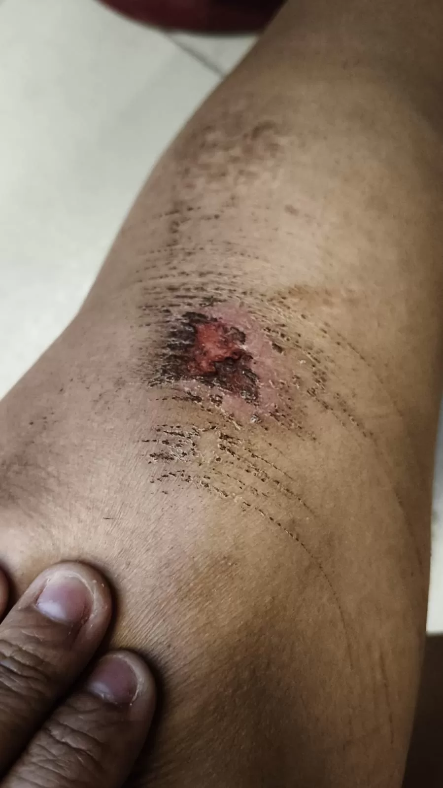 imagem do whatsapp de 2025 11 16 à(s) 17.40.24 cf141f93