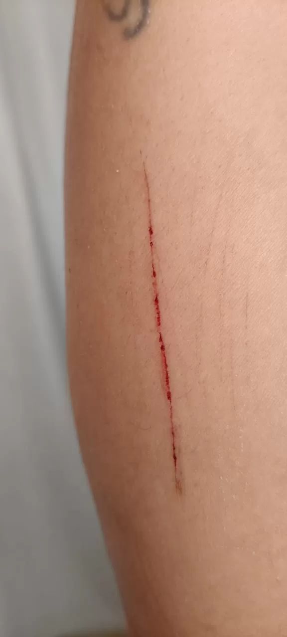 imagem do whatsapp de 2025 11 16 à(s) 17.40.31 86c5e359