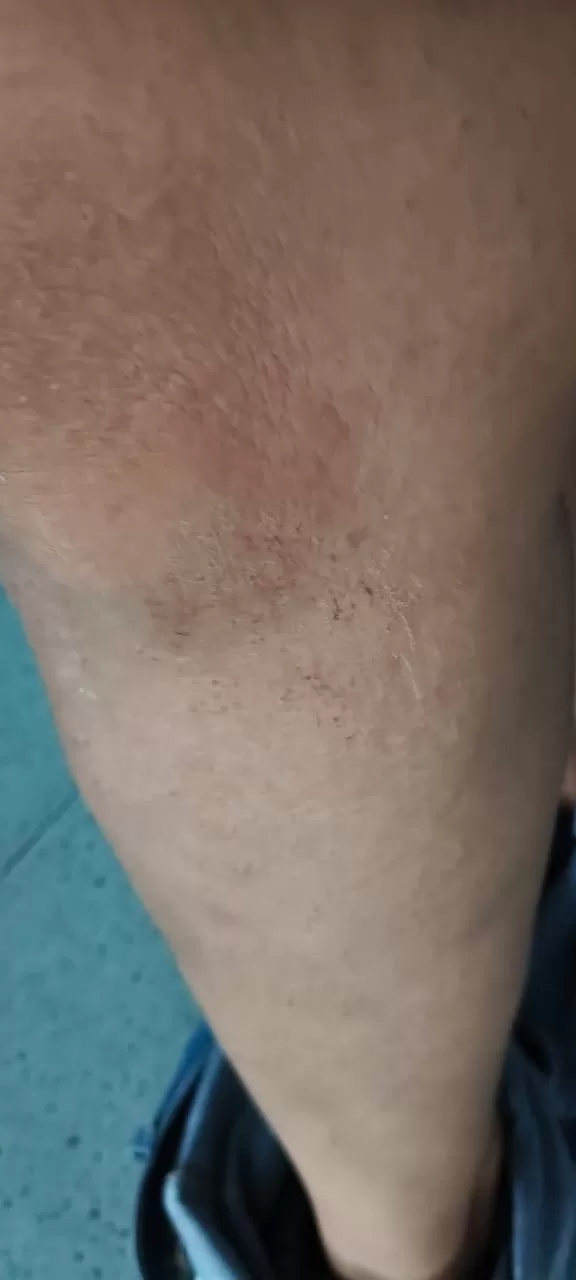 imagem do whatsapp de 2025 11 16 à(s) 17.40.32 68e91b68