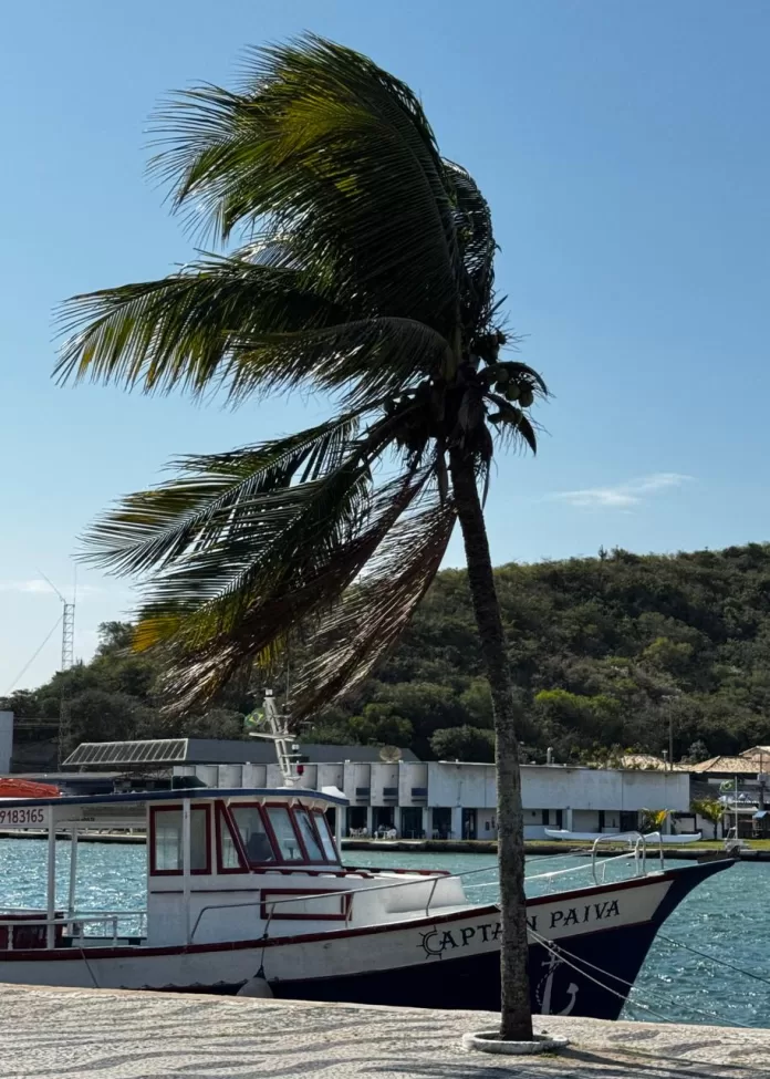 imagem do whatsapp de 2025 11 19 à(s) 11.06.10 045a5c3a