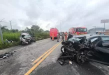 imagem do whatsapp de 2025 11 24 à(s) 11.35.57 776e772a