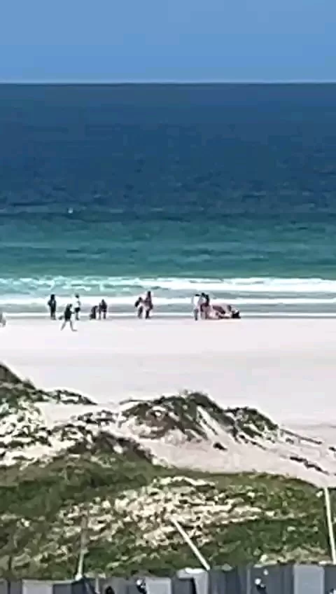 imagem do whatsapp de 2025 11 25 à(s) 09.59.29 0da1b682