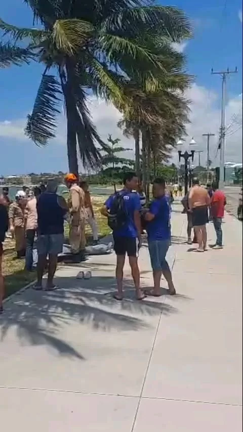 imagem do whatsapp de 2025 11 25 à(s) 13.03.44 9357176f