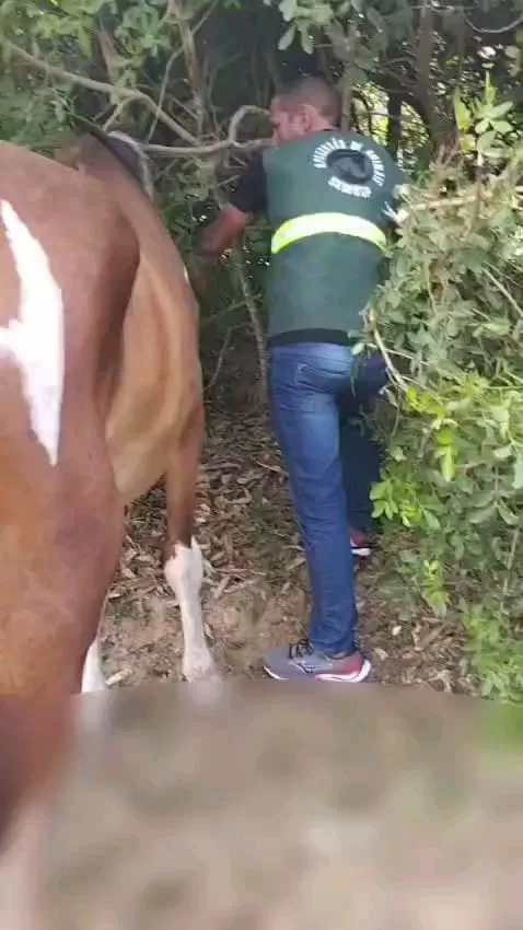 imagem do whatsapp de 2025 11 27 à(s) 14.53.42 bd8fcf46