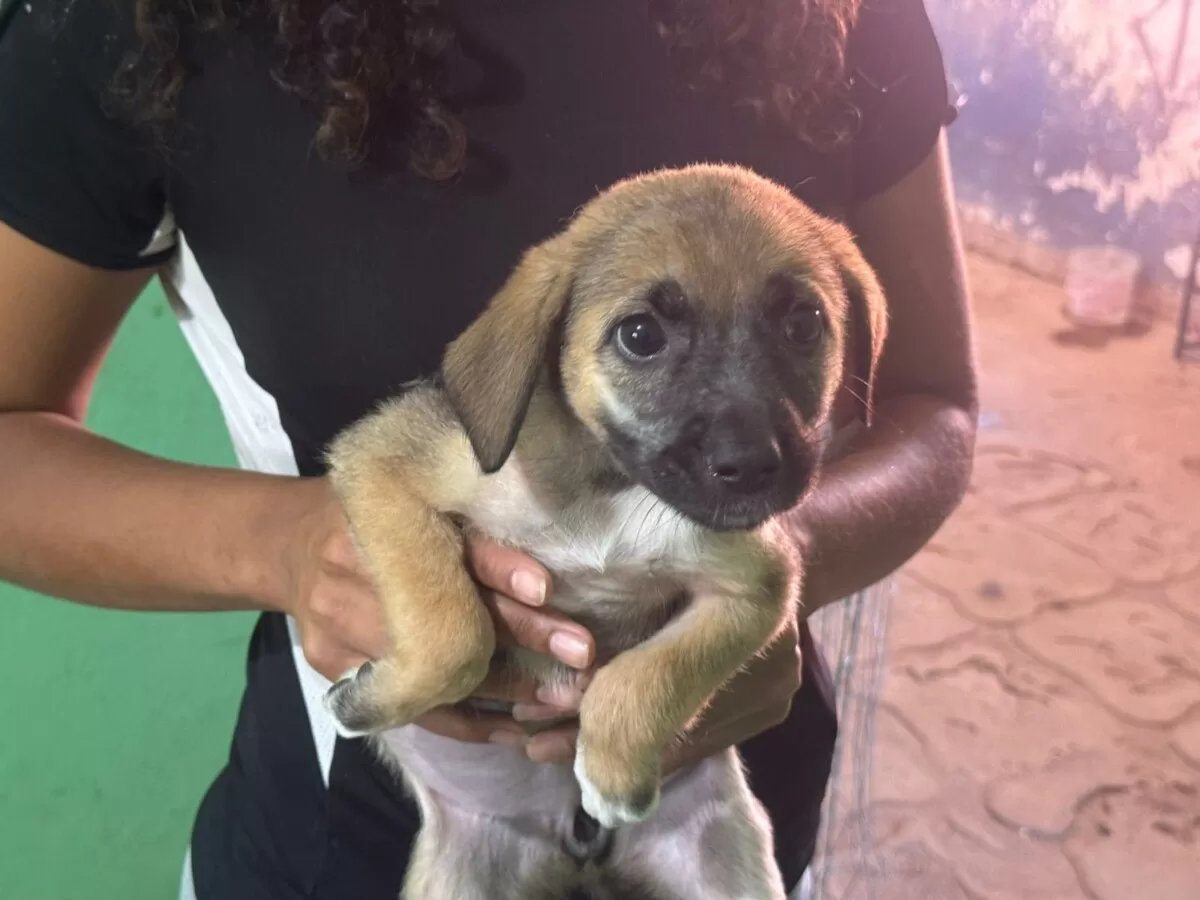 motion photo 6744938515168939444