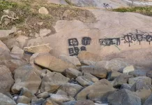 noticiasdecabofrio 1763915211 3772316663287823750 13858837850