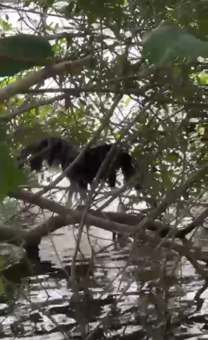 screenshot 20251105 133851