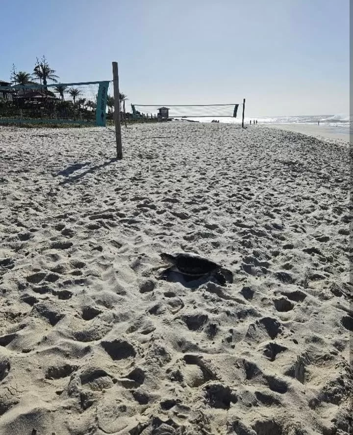 screenshot 20251121 180929